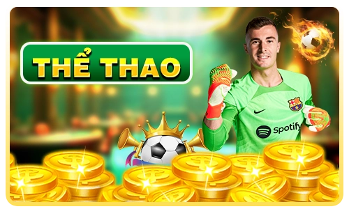The-thao-28 cm88